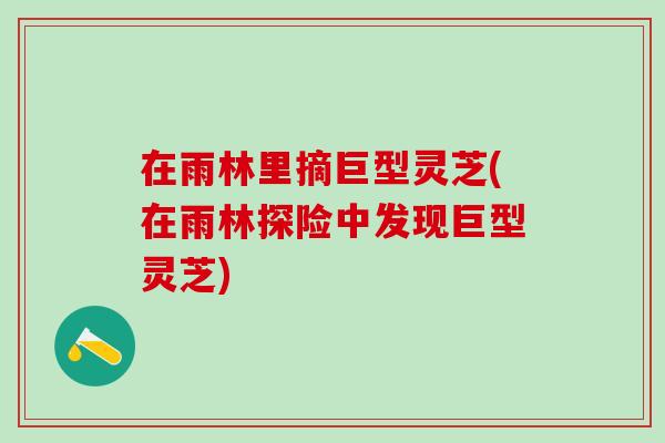 在雨林里摘巨型灵芝(在雨林探险中发现巨型灵芝)
