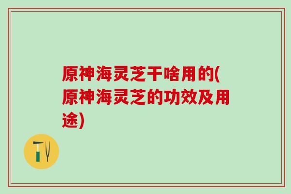 原神海灵芝干啥用的(原神海灵芝的功效及用途)