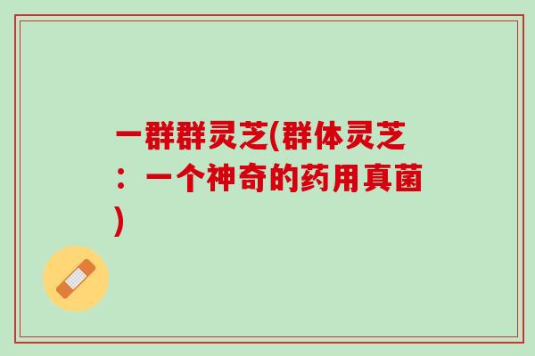 一群群灵芝(群体灵芝：一个神奇的药用真菌)