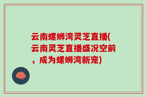 云南螺蛳湾灵芝直播(云南灵芝直播盛况空前，成为螺蛳湾新宠)