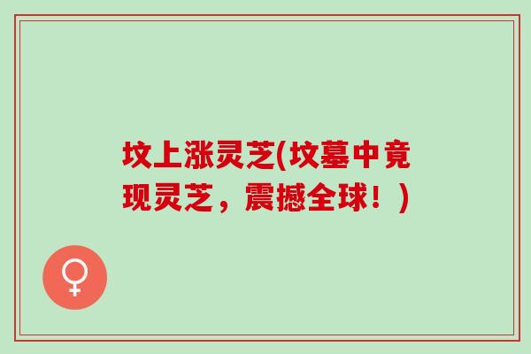 坟上涨灵芝(坟墓中竟现灵芝，震撼全球！)