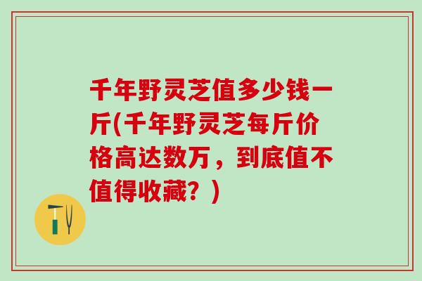 千年野灵芝值多少钱一斤(千年野灵芝每斤价格高达数万,到底值不值得收藏?) 千年野灵芝值多少钱一斤(千年野灵芝每斤价格高达数万,到底值不值得收藏?)