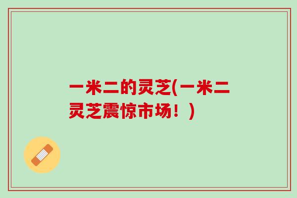 一米二的灵芝(一米二灵芝震惊市场！)