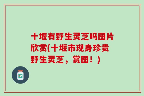 十堰有野生灵芝吗图片欣赏(十堰市现身珍贵野生灵芝，赏图！)
