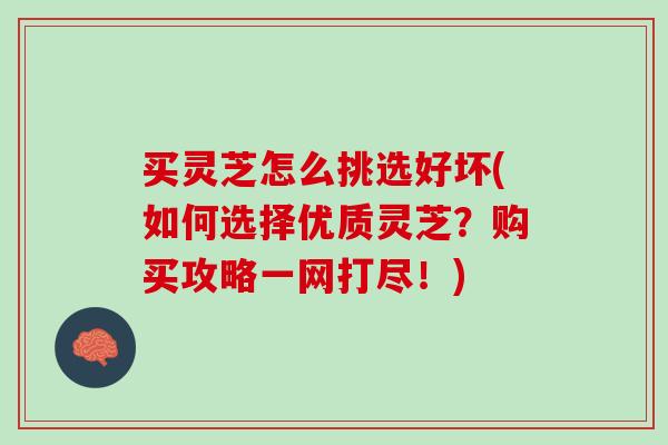 买灵芝怎么挑选好坏(如何选择优质灵芝？购买攻略一网打尽！)