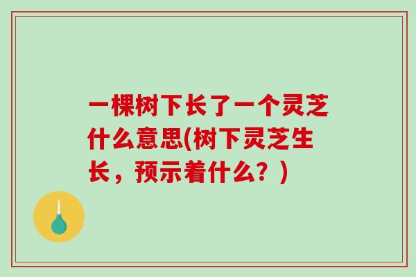 一棵树下长了一个灵芝什么意思(树下灵芝生长，预示着什么？)