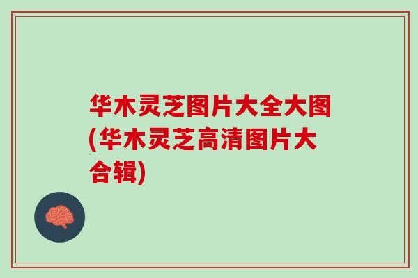 华木灵芝图片大全大图(华木灵芝高清图片大合辑) 华木灵芝图片大全大图(华木灵芝高清图片大合辑)