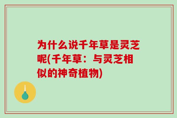为什么说千年草是灵芝呢(千年草：与灵芝相似的神奇植物)