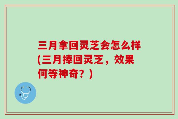 三月拿回灵芝会怎么样(三月捧回灵芝，效果何等神奇？)
