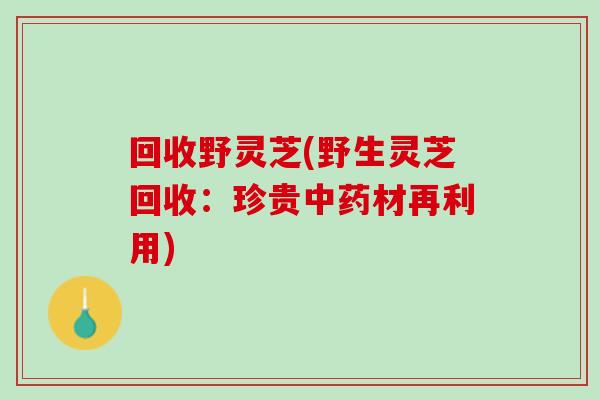 回收野灵芝(野生灵芝回收：珍贵中药材再利用)
