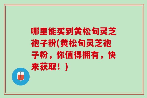哪里能买到黄松甸灵芝孢子粉(黄松甸灵芝孢子粉,你值得拥有,快来获取!) 哪里能买到黄松甸灵芝孢子粉(黄松甸灵芝孢子粉,你值得拥有,快来获取!)