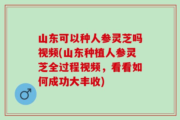 山东可以种人参灵芝吗视频(山东种植人参灵芝全过程视频，看看如何成功大丰收)