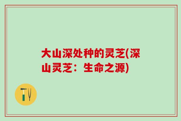 大山深处种的灵芝(深山灵芝:生命之源) 大山深处种的灵芝(深山灵芝:生命之源)