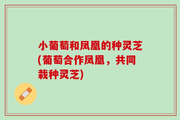 小葡萄和凤凰的种灵芝(葡萄合作凤凰，共同栽种灵芝)
