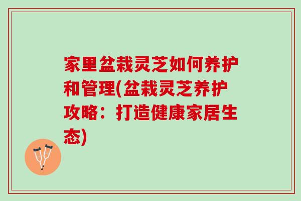 家里盆栽灵芝如何养护和管理(盆栽灵芝养护攻略：打造健康家居生态)