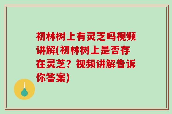初林树上有灵芝吗视频讲解(初林树上是否存在灵芝？视频讲解告诉你答案)