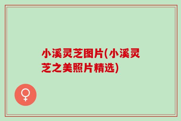 小溪灵芝图片(小溪灵芝之美照片精选) 小溪灵芝图片(小溪灵芝之美照片精选)