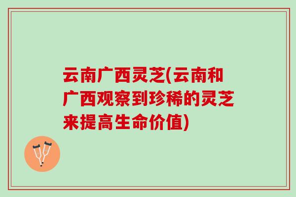 云南广西灵芝(云南和广西观察到珍稀的灵芝来提高生命价值) 云南广西灵芝(云南和广西观察到珍稀的灵芝来提高生命价值)