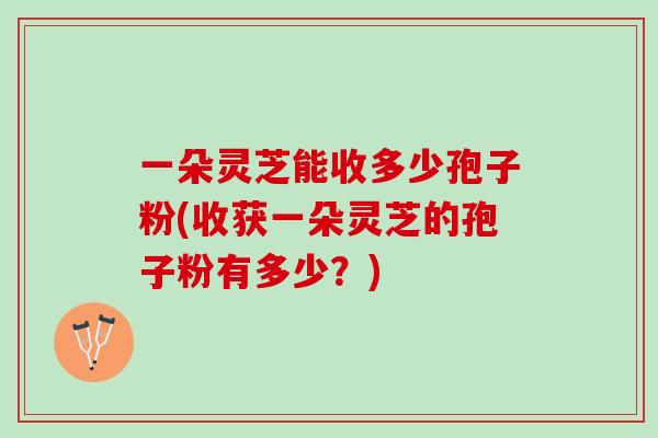 一朵灵芝能收多少孢子粉(收获一朵灵芝的孢子粉有多少？)