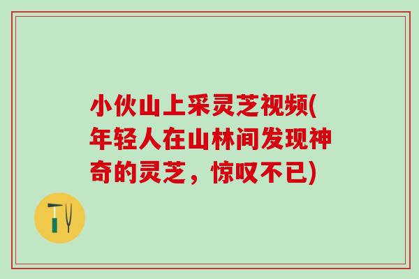 小伙山上采灵芝视频(年轻人在山林间发现神奇的灵芝,惊叹不已) 小伙山上采灵芝视频(年轻人在山林间发现神奇的灵芝,惊叹不已)