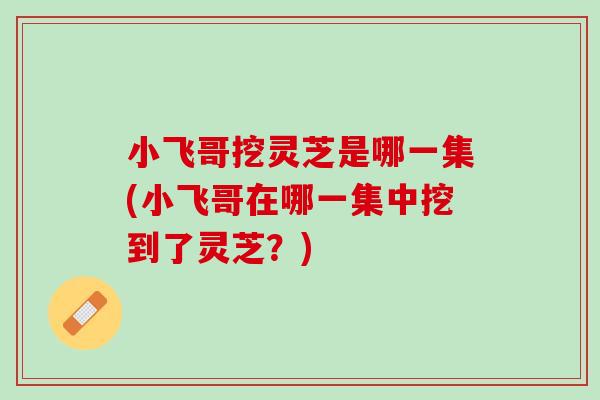小飞哥挖灵芝是哪一集(小飞哥在哪一集中挖到了灵芝？)
