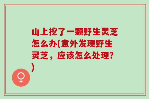山上挖了一颗野生灵芝怎么办(意外发现野生灵芝，应该怎么处理？)