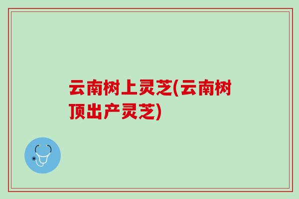 云南树上灵芝(云南树顶出产灵芝)
