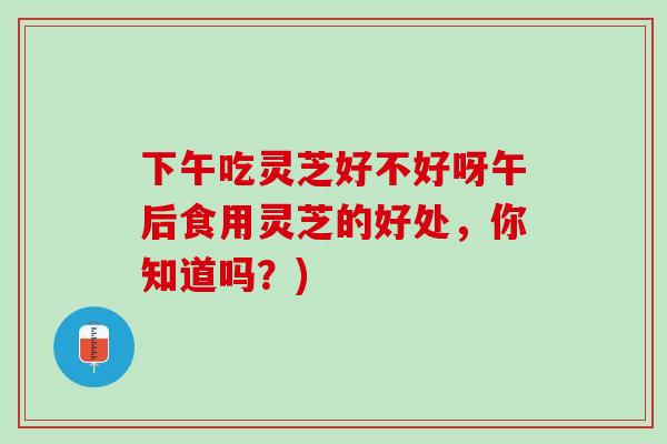 下午吃灵芝好不好呀午后食用灵芝的好处，你知道吗？)