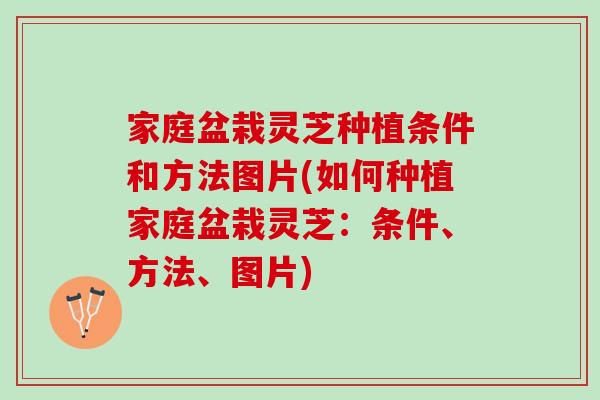 家庭盆栽灵芝种植条件和方法图片(如何种植家庭盆栽灵芝：条件、方法、图片)