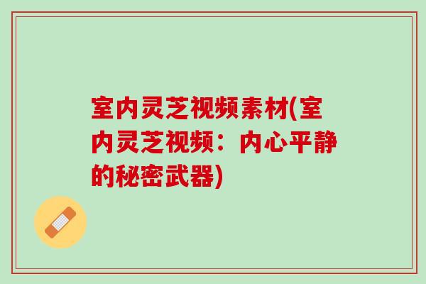 室内灵芝视频素材(室内灵芝视频：内心平静的秘密武器)