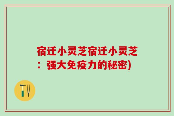 宿迁小灵芝宿迁小灵芝：强大免疫力的秘密)