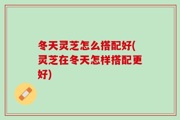 冬天灵芝怎么搭配好(灵芝在冬天怎样搭配更好)