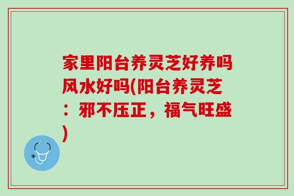 家里阳台养灵芝好养吗风水好吗(阳台养灵芝：邪不压正，福气旺盛)