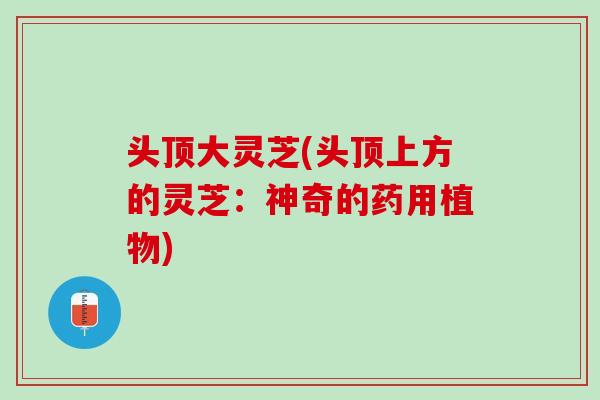 头顶大灵芝(头顶上方的灵芝:神奇的药用植物) 头顶大灵芝(头顶上方的灵芝:神奇的药用植物)