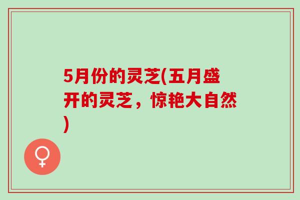 5月份的灵芝(五月盛开的灵芝,惊艳大自然) 5月份的灵芝(五月盛开的灵芝,惊艳大自然)