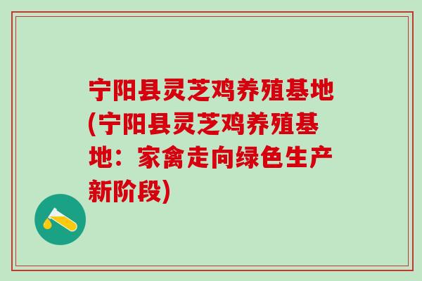 宁阳县灵芝鸡养殖基地(宁阳县灵芝鸡养殖基地：家禽走向绿色生产新阶段)