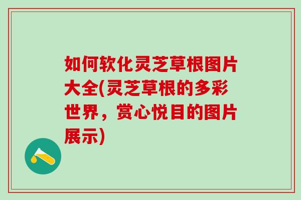 如何软化灵芝草根图片大全(灵芝草根的多彩世界，赏心悦目的图片展示)