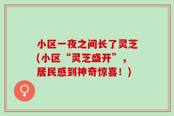 小区一夜之间长了灵芝(小区“灵芝盛开”,居民感到神奇惊喜!) 小区一夜之间长了灵芝(小区“灵芝盛开”,居民感到神奇惊喜!)