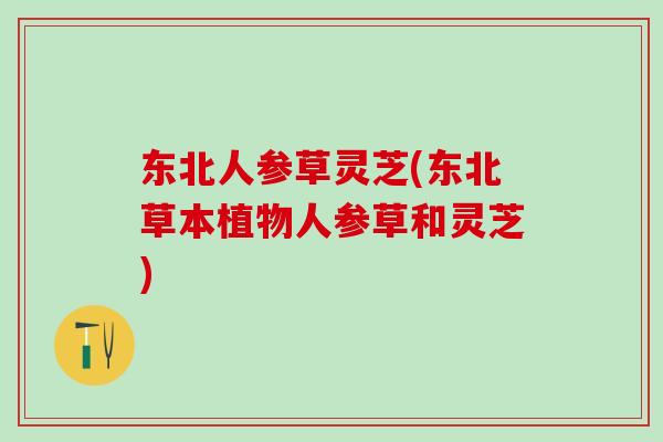 东北人参草灵芝(东北草本植物人参草和灵芝)