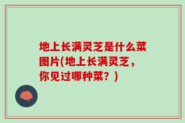 地上长满灵芝是什么菜图片(地上长满灵芝，你见过哪种菜？)