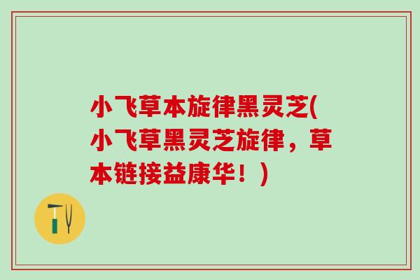小飞草本旋律黑灵芝(小飞草黑灵芝旋律，草本链接益康华！)