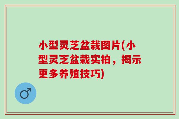 小型灵芝盆栽图片(小型灵芝盆栽实拍，揭示更多养殖技巧)