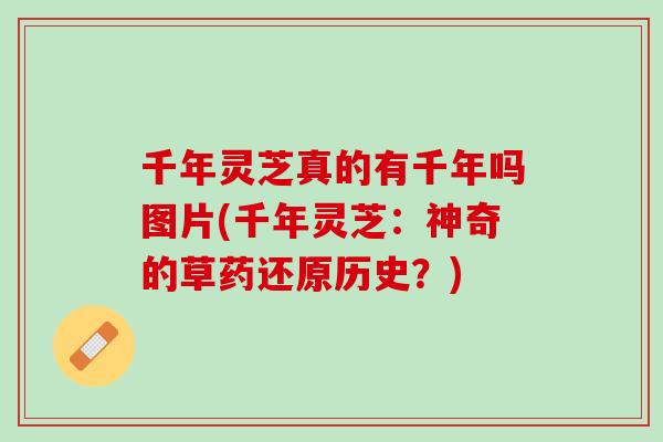 千年灵芝真的有千年吗图片(千年灵芝：神奇的草药还原历史？)
