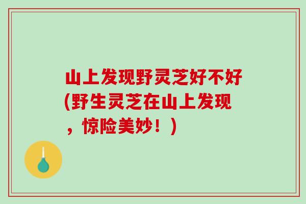 山上发现野灵芝好不好(野生灵芝在山上发现，惊险美妙！)