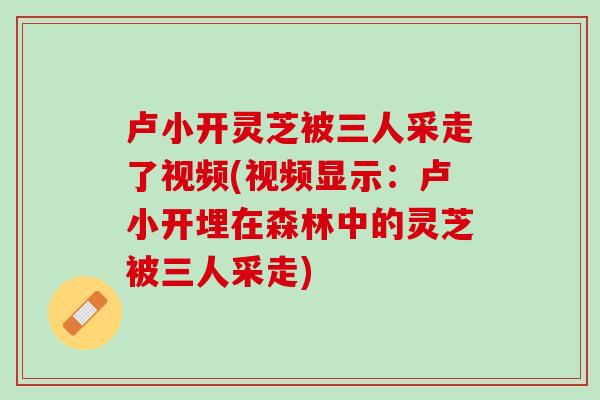 卢小开灵芝被三人采走了视频(视频显示：卢小开埋在森林中的灵芝被三人采走)
