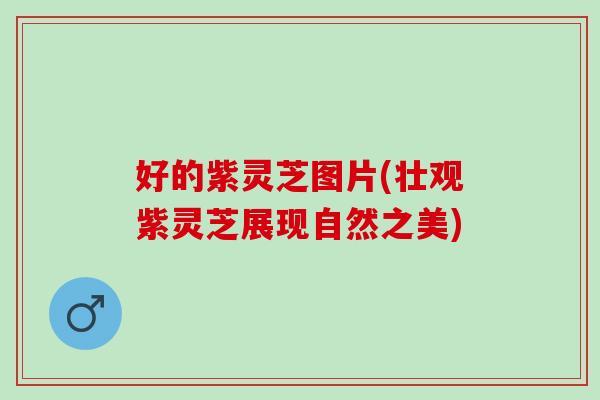 好的紫灵芝图片(壮观紫灵芝展现自然之美)