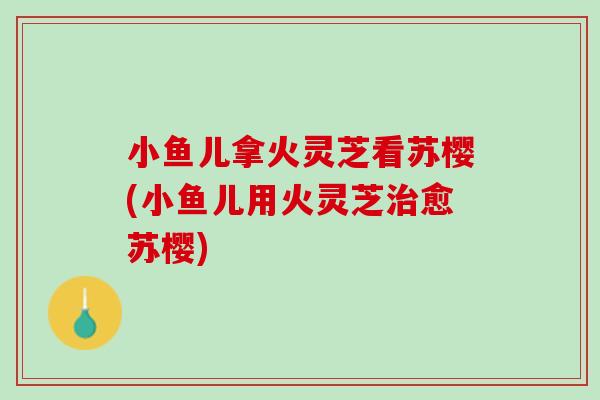 小鱼儿拿火灵芝看苏樱(小鱼儿用火灵芝愈苏樱) 小鱼儿拿火灵芝看苏樱(小鱼儿用火灵芝愈苏樱)