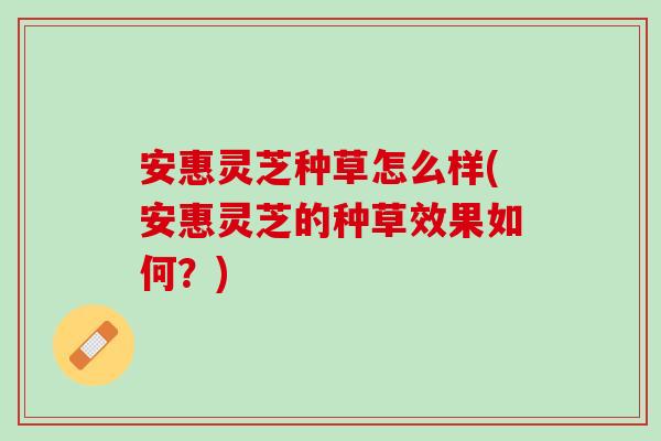 安惠灵芝种草怎么样(安惠灵芝的种草效果如何？)