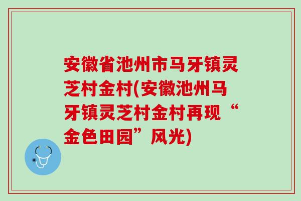 安徽省池州市马牙镇灵芝村金村(安徽池州马牙镇灵芝村金村再现“金色田园”风光)