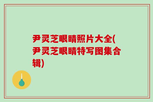 尹灵芝眼睛照片大全(尹灵芝眼睛特写图集合辑)